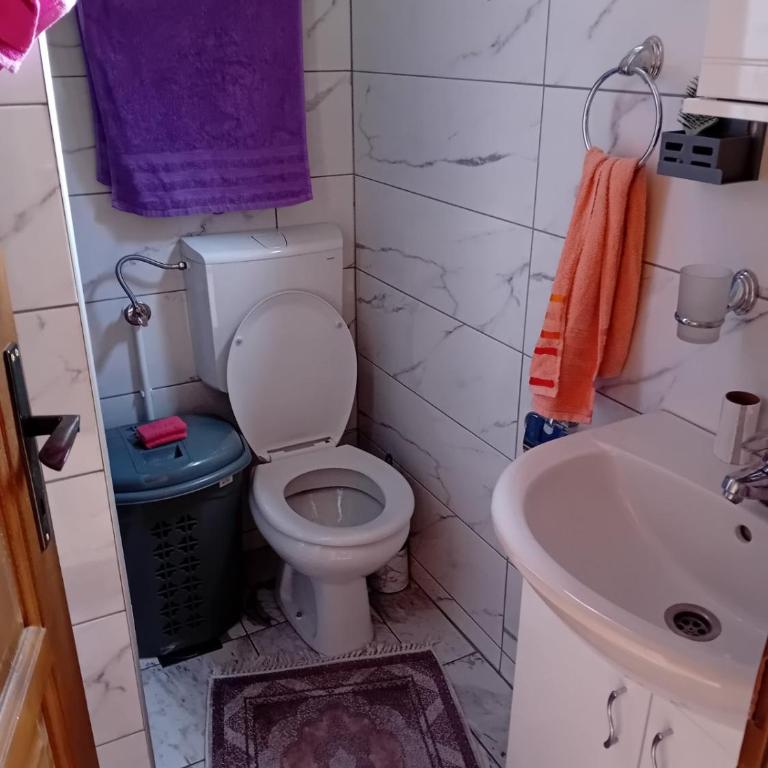 Brvnare Vujičic - Two-Bedroom House - 29