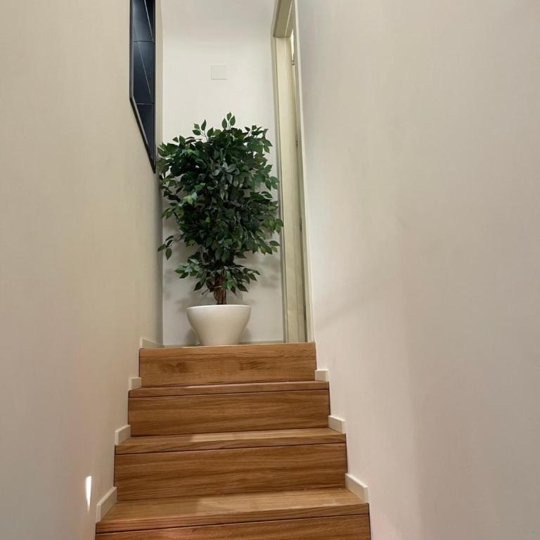 Fourteensuitetropea - One-Bedroom House - 16