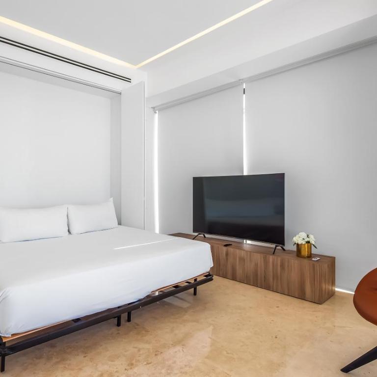 SOHO PV - 908 2 BR Unit with Best Rooftop - Apartamento de 1 dormitorio - 10