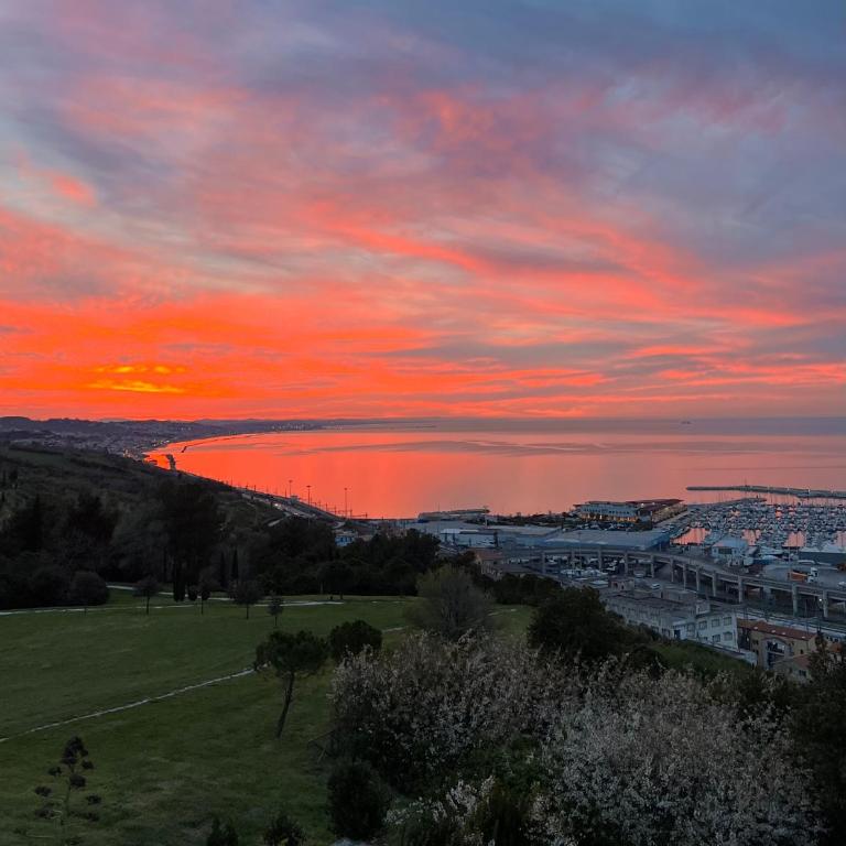 Bilocale nel cuore di Ancona - Appartamento con 1 Camera da Letto - 2