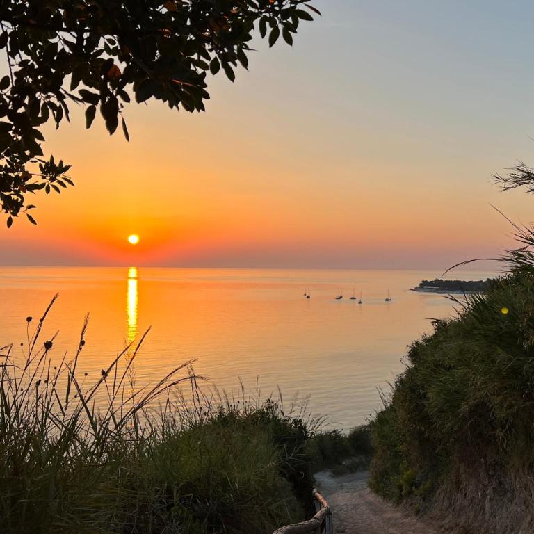 Bilocale nel cuore di Ancona - Appartamento con 1 Camera da Letto - 12