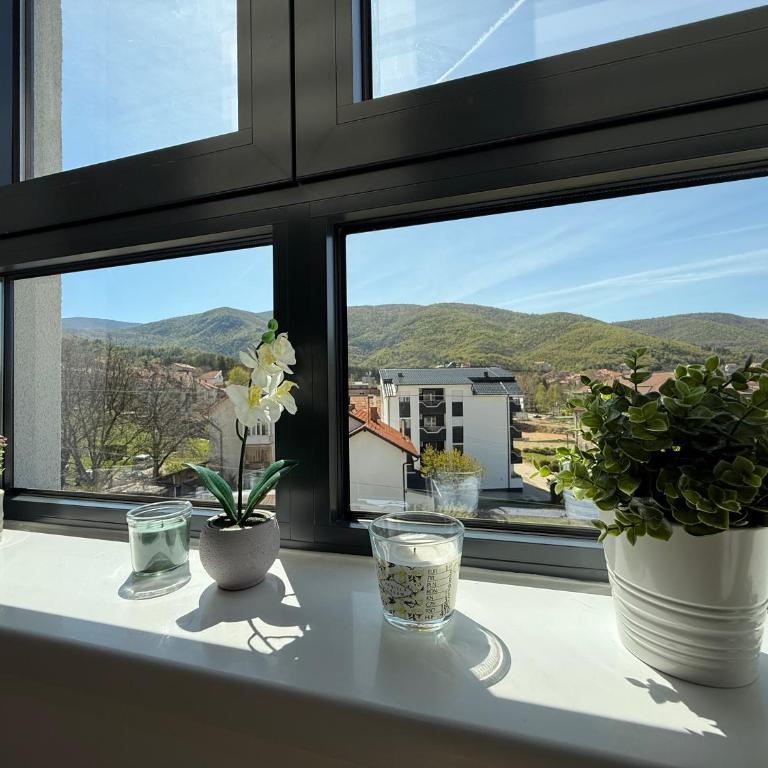 Aleksandar apartman Sokobanja - Apartman sa 1 Spavaćom Sobom - 21