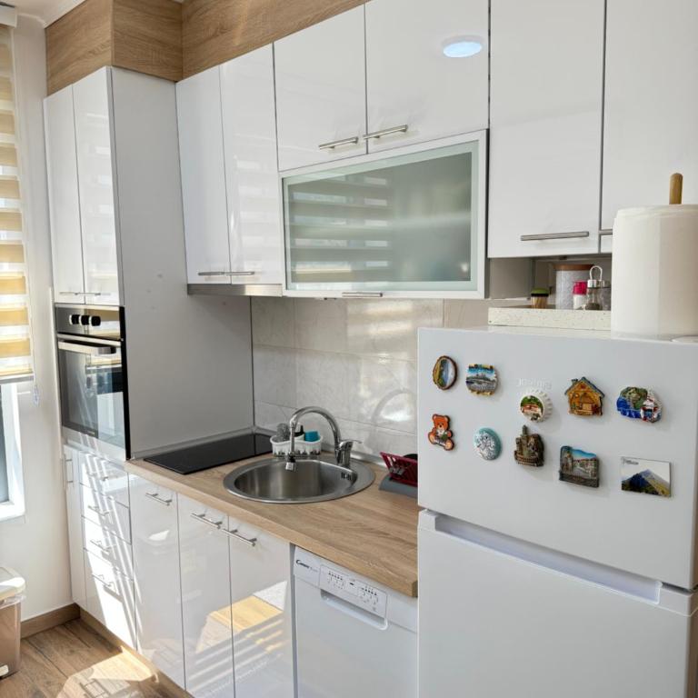 Aleksandar apartman Sokobanja - Apartman sa 1 Spavaćom Sobom - 19