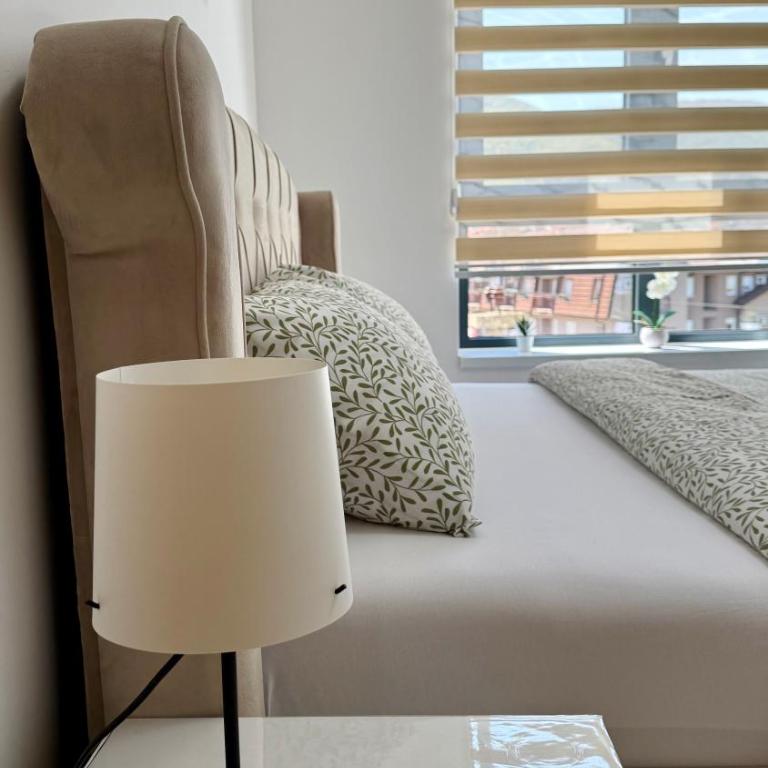 Aleksandar apartman Sokobanja - Apartman sa 1 Spavaćom Sobom - 9