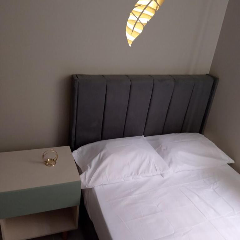 Hermoso Apartamento en renta - Apartamento de 2 dormitorios - 13