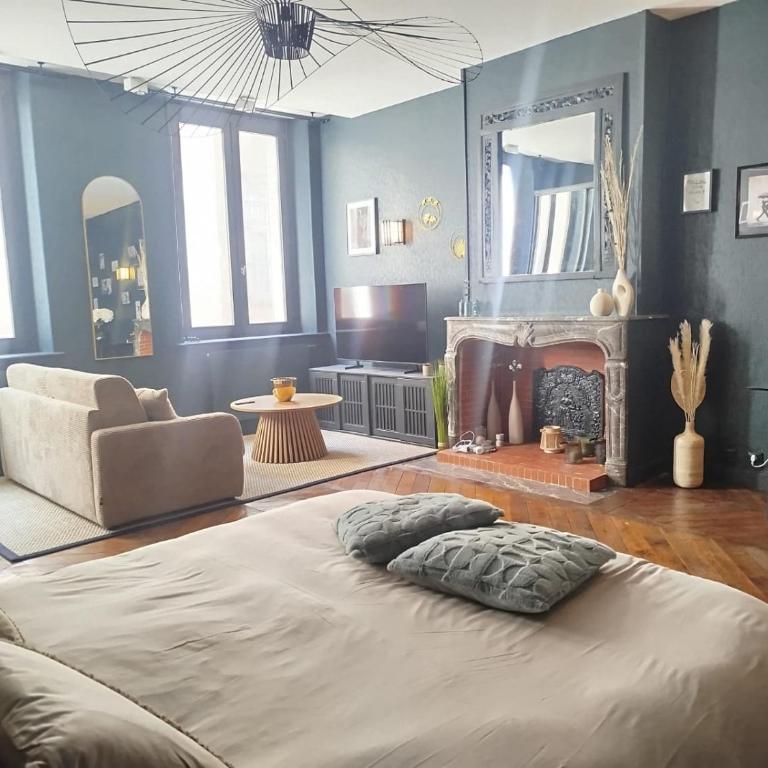 Nancy Vieille Ville Stanislas - Appartement 1 Chambre - 24
