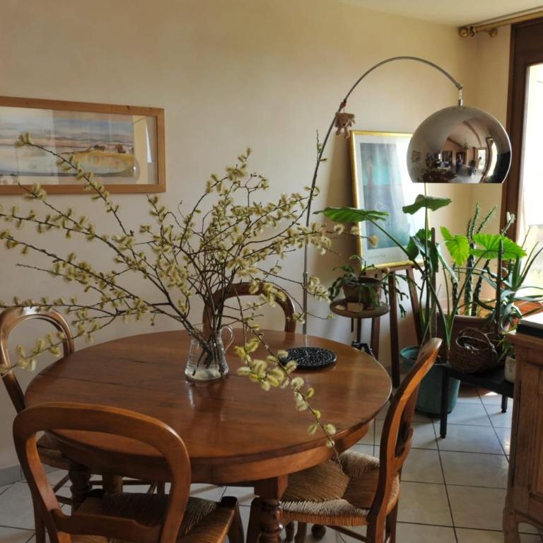 L'Alizée - Terrace overlooking the lake - Appartement - 1