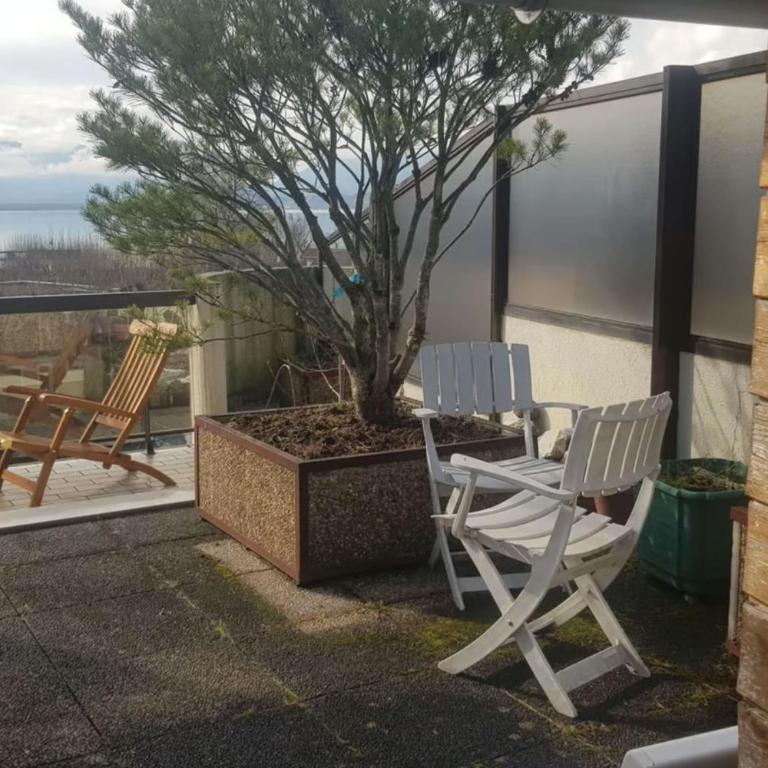 L'Alizée - Terrace overlooking the lake - Appartement - 17