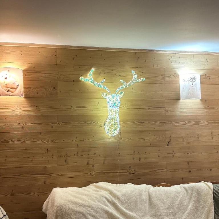 le petit sport 2 - Appartement - 16