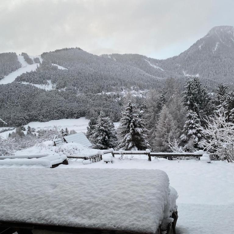 Les 3 flocons - Chalet 3 Chambres - 38