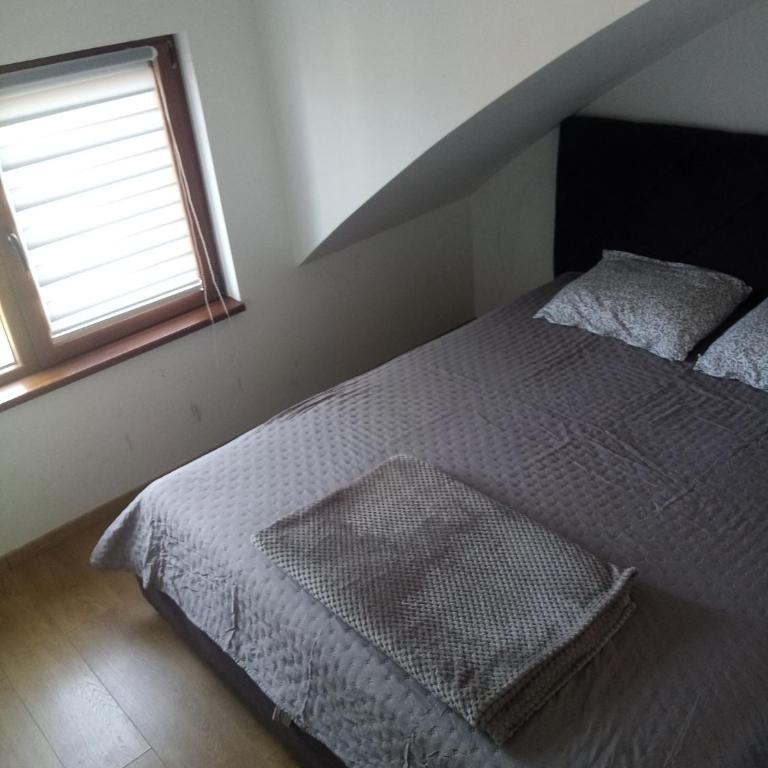 Apartman Petrovic - One-Bedroom Apartment - 12