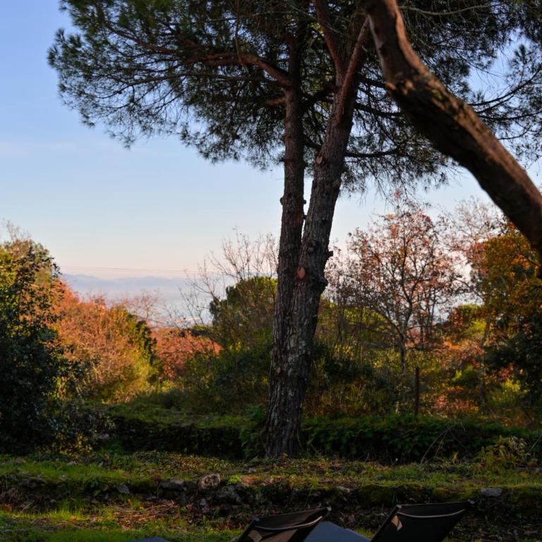Le Rocce Wellness and Fitness, only adults - Villa con 1 Camera da Letto - 41