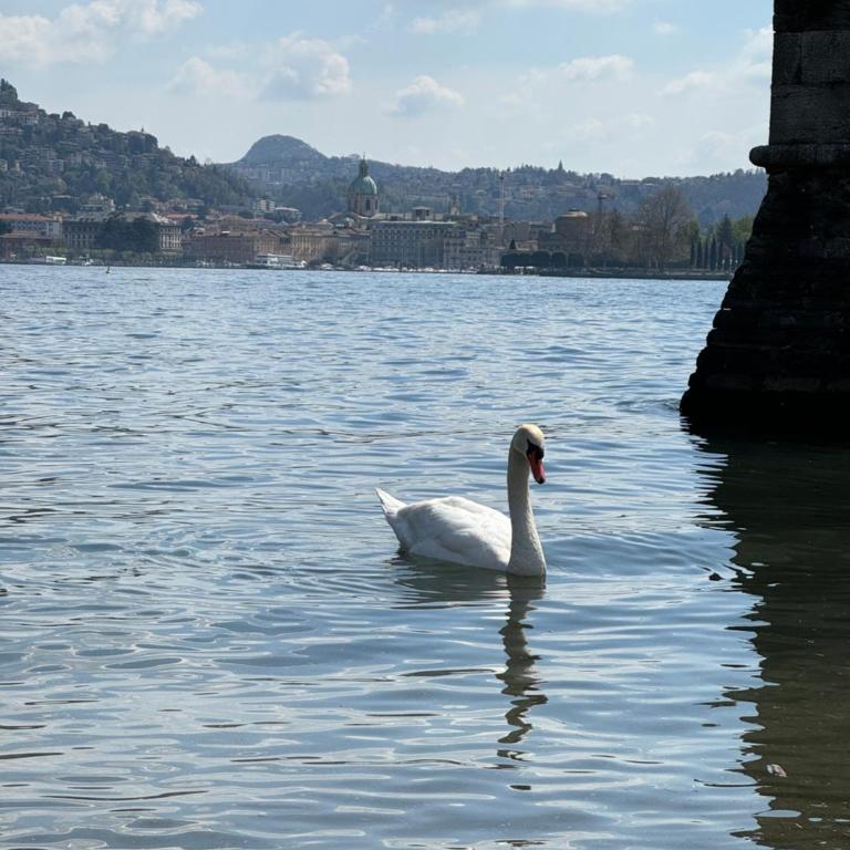 PortaTorre Suite, a Charming apartment in the Heart of Como, Free Private Parking, Air Conditioning - Appartamento Loft con 1 Camera da Letto - 58