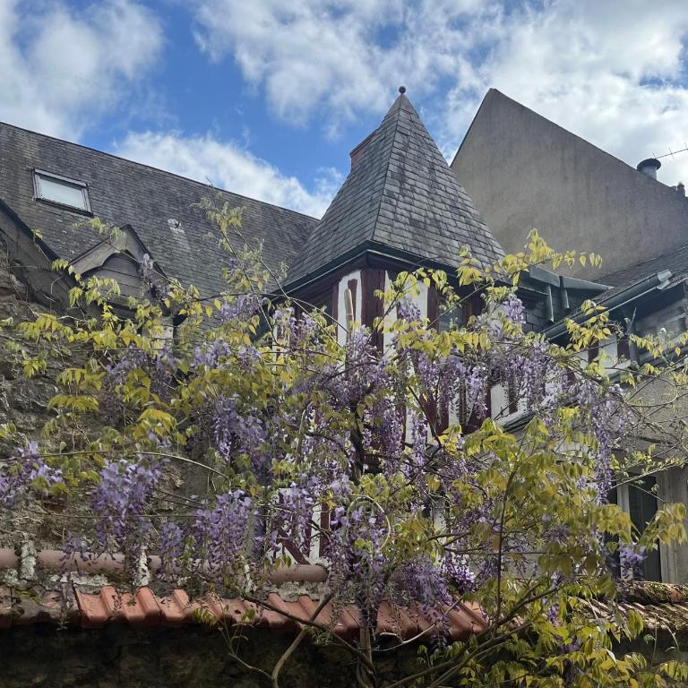 Châtel Rose - Historical Centre with Garden - Studio - 19