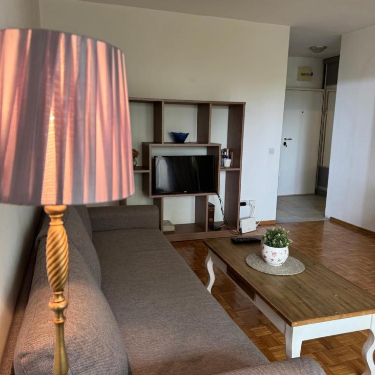 Only YOU Apartment Cukarica - Apartman sa 1 Spavaćom Sobom - 7