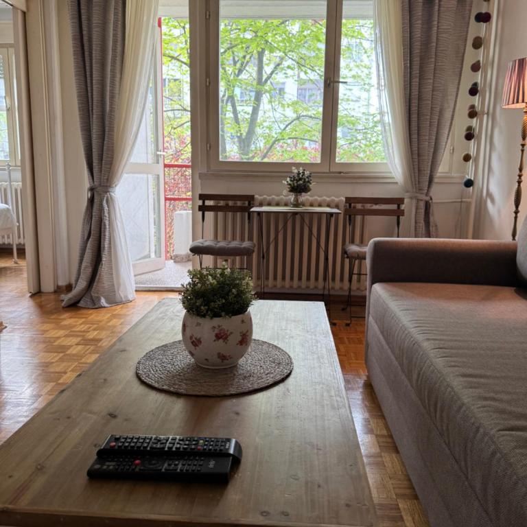 Only YOU Apartment Cukarica - Apartman sa 1 Spavaćom Sobom - 2