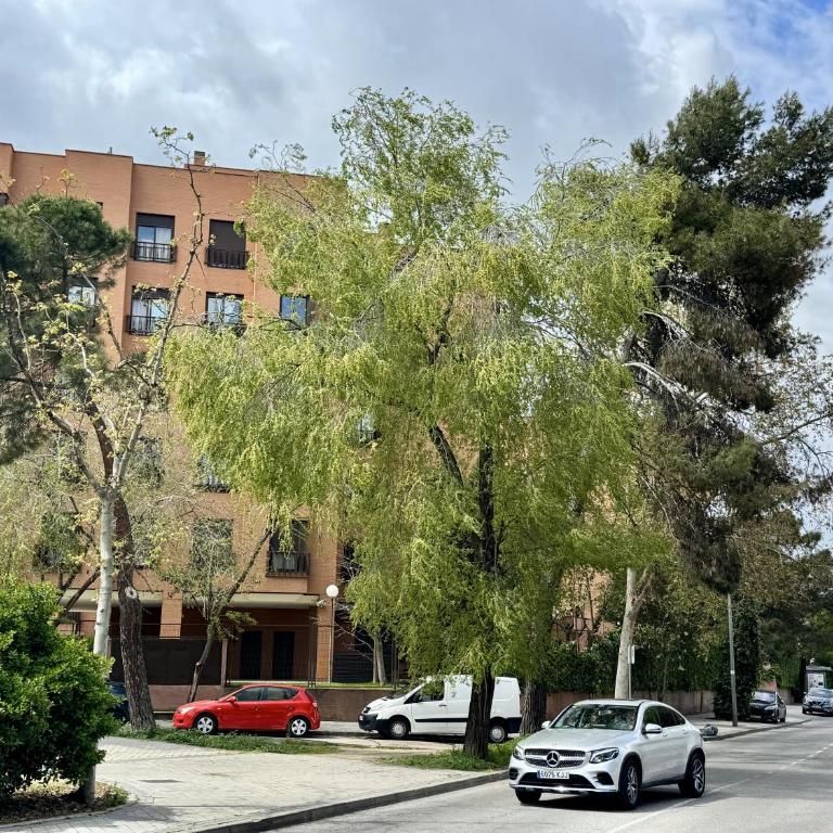 Airport Madrid Plenilunio suites beige - Apartamento de 1 dormitorio - 4