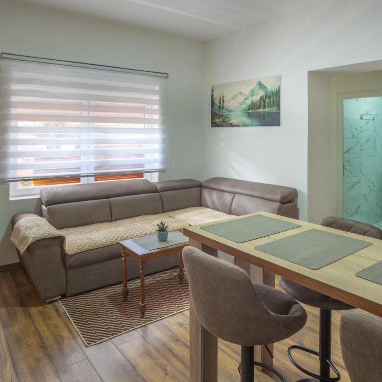 Apartmani ALBION - One-Bedroom Apartment with Terrace - 23