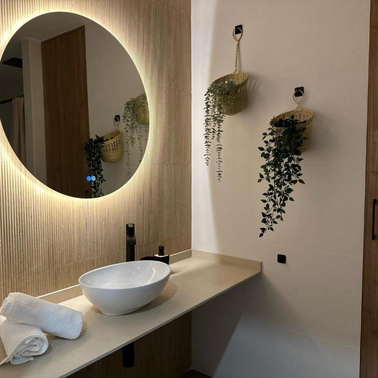La fonda de Olympia - One-Bedroom Apartment - 1