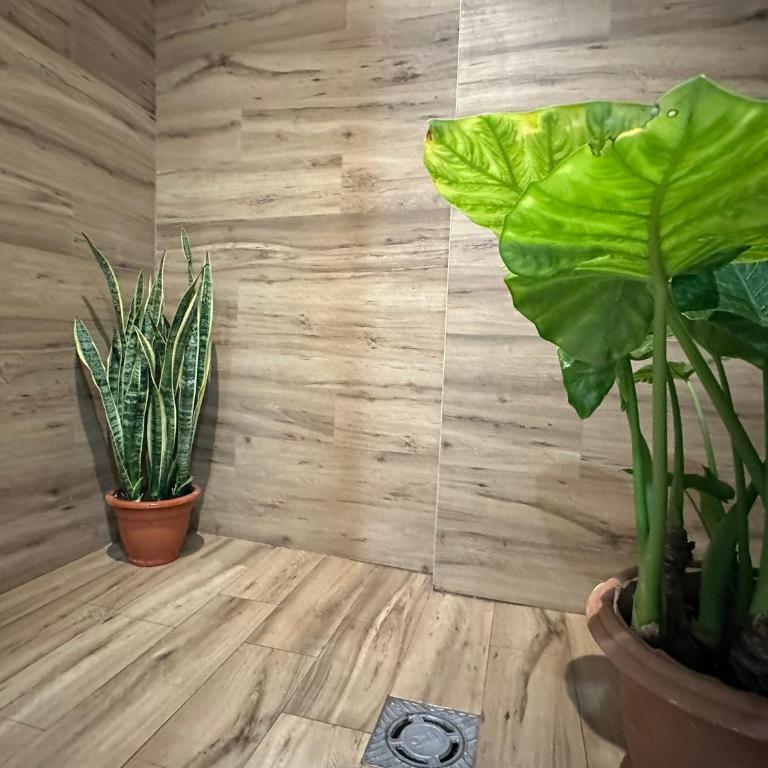 La fonda de Olympia - One-Bedroom Apartment - 24