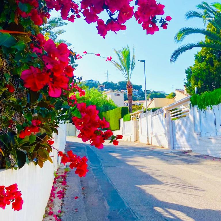 Turyva Tarongers 1 - Modern 1-Bedroom Apartment Near the Beach, Costa del Azahar - Apartamento de 1 dormitorio - 6