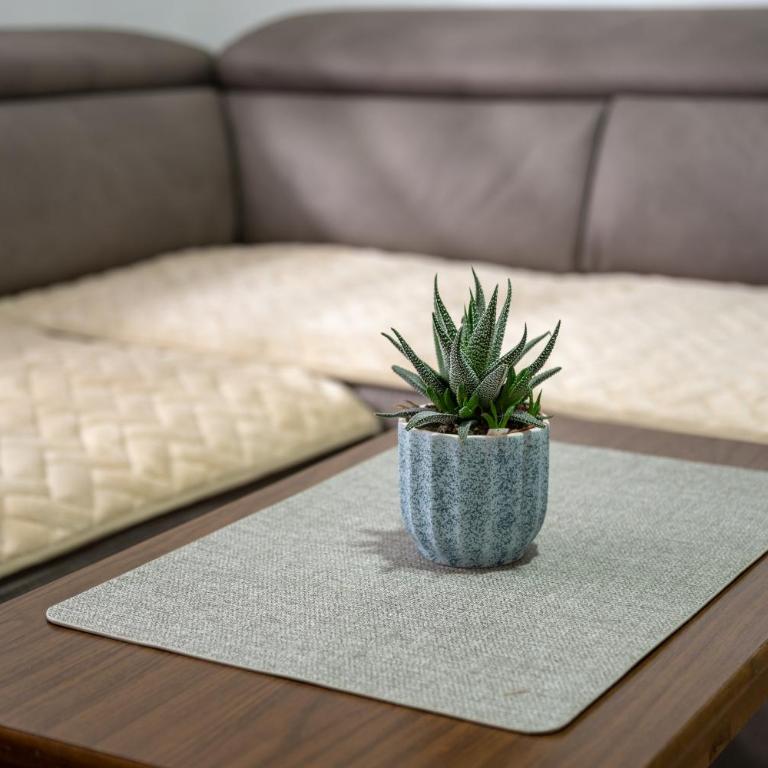 Apartmani ALBION - One-Bedroom Apartment with Terrace - 6