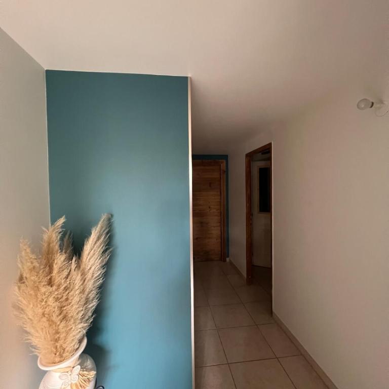 Appartement en rez de jardin - Appartement 2 Chambres - 3