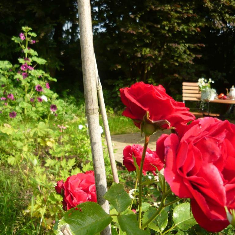 Willkommen in unserer 3 Zimmer Oase im Allgäu - Appartamento con 1 Camera da Letto e con Giardino - 4