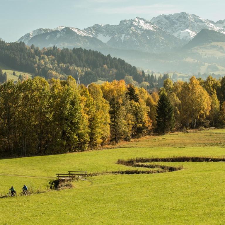 Willkommen in unserer 3 Zimmer Oase im Allgäu - Appartamento con 1 Camera da Letto e con Giardino - 13