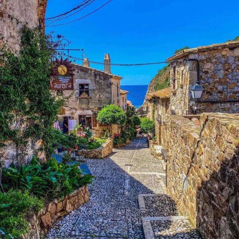 Villa Mediterranea Tossa - Casa de 4 dormitorios - 50