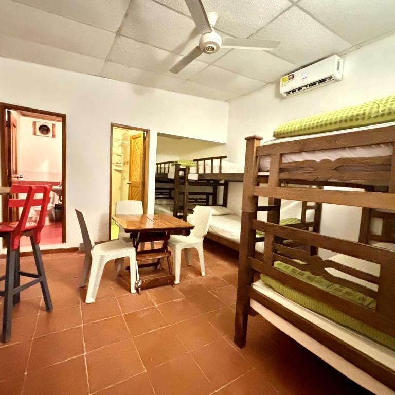 Republika Divanga Homestel - Cama en habitación compartida mixta de 6 camas - 1