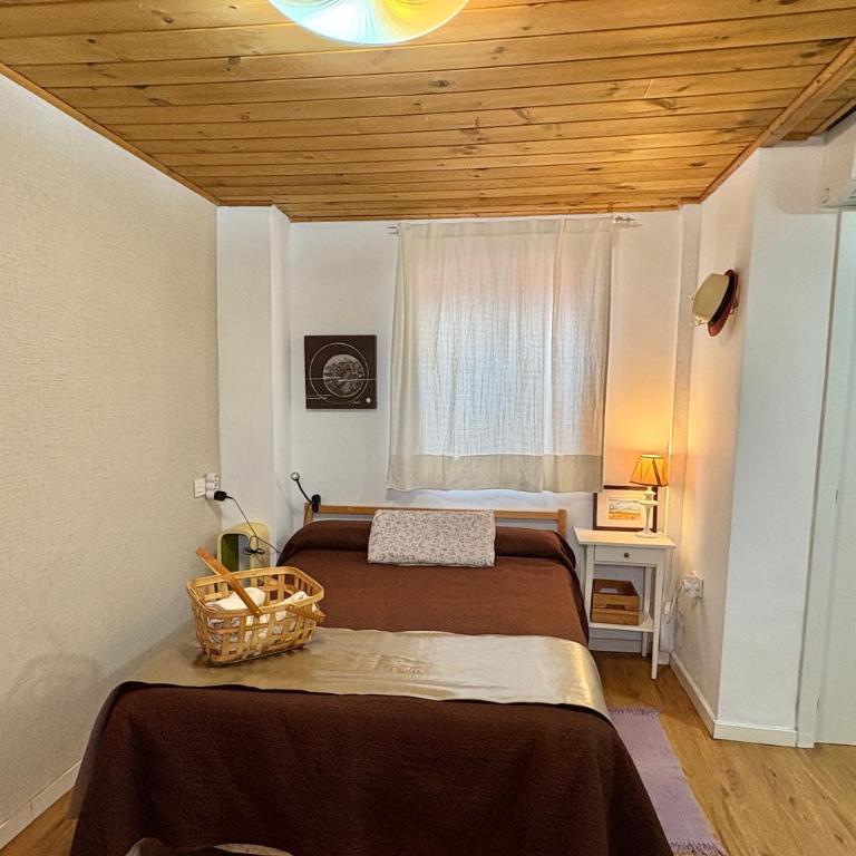Habitación en Calle Molino - Studio with Terrace - 1