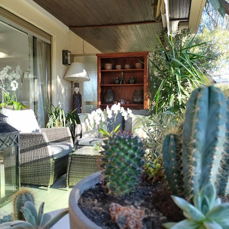 La Californie Views II - Appartement 1 Chambre - 15