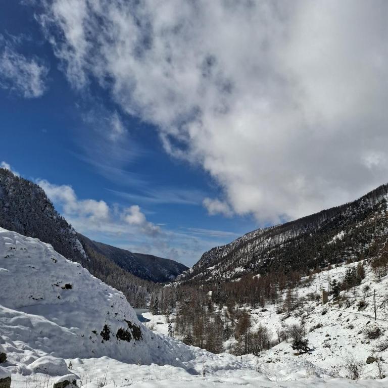 Meublé de tourisme 2 etoiles au cœur de Belvédère - Studio avec Canapé-Lit - 31