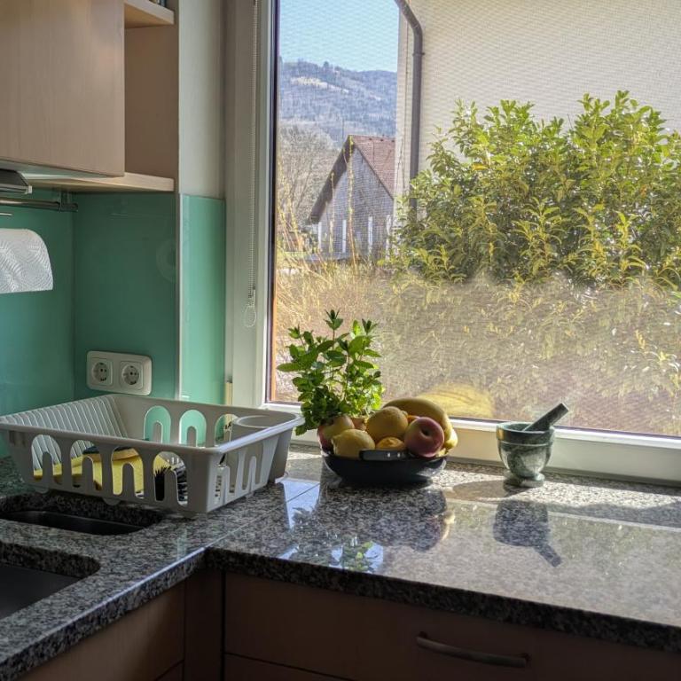 Ferienwohnung Manuela - Apartment mit 1 Schlafzimmer - 28