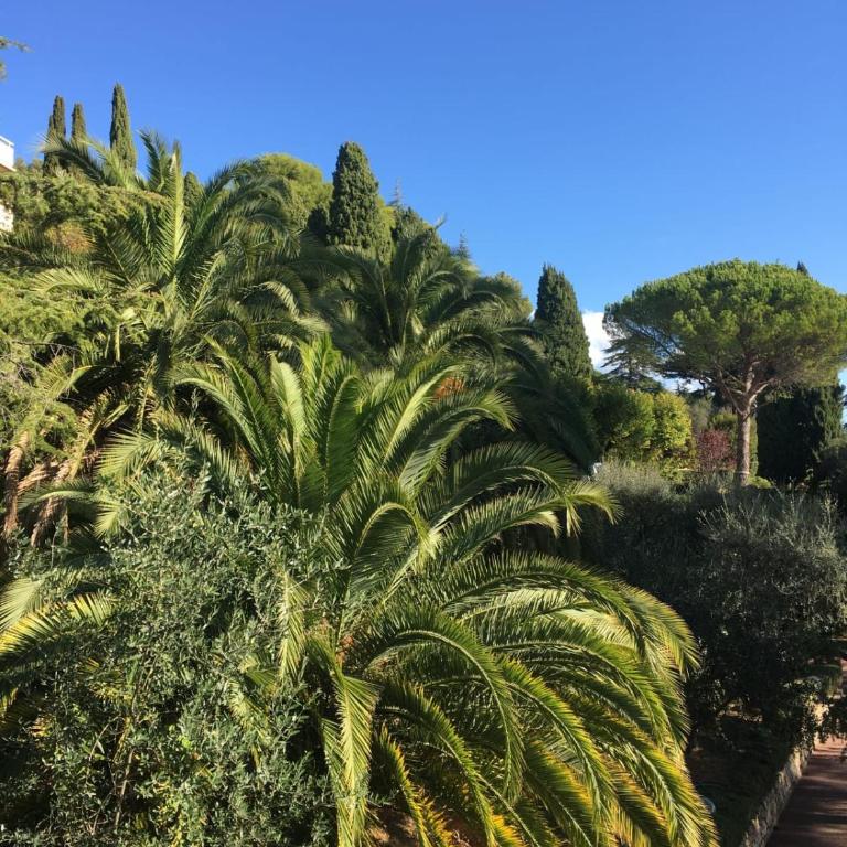 Nice 4 bedroom apartment with sea view - air conditioning - pool - Appartement - 33