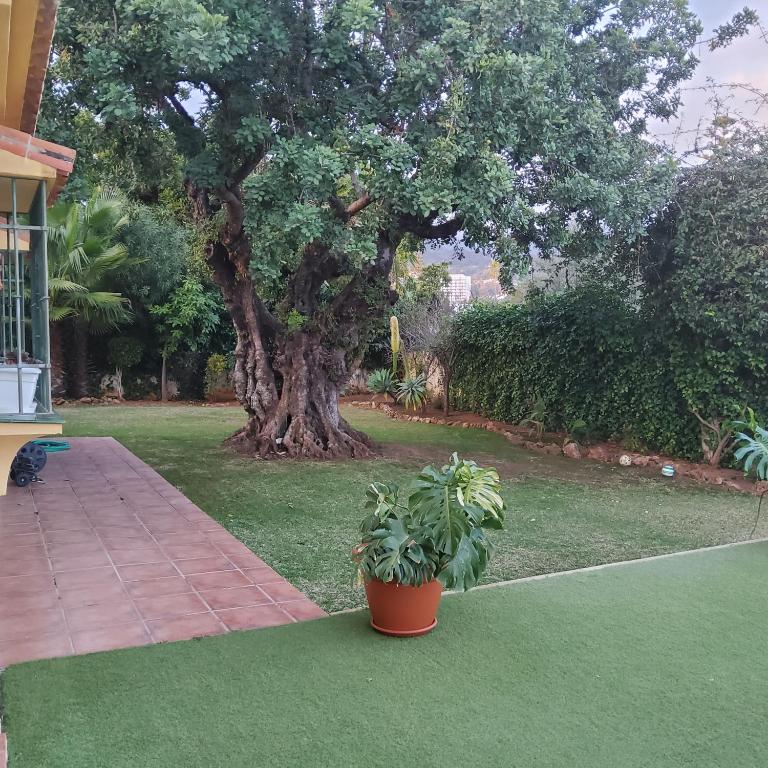 Chalet en Marbella - Villa - 31