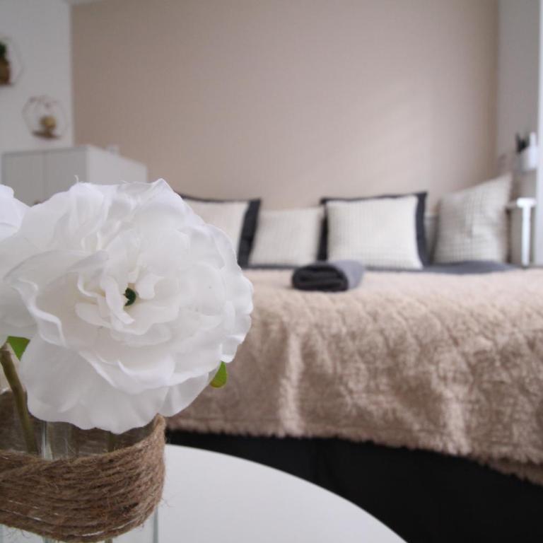 Studio hyper centre secteur Cathedrale - Forum- Erlon - Appartamento con 1 Camera da Letto - 16