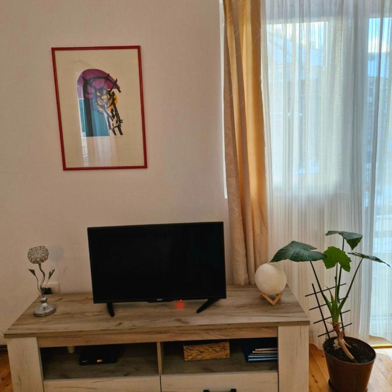 Apartments center Zorić - One-Bedroom Apartment - 10