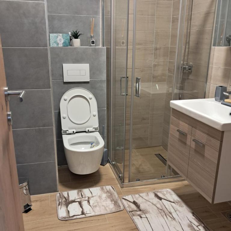 Apartman Zvezdica - Apartman sa 1 Spavaćom Sobom - 24