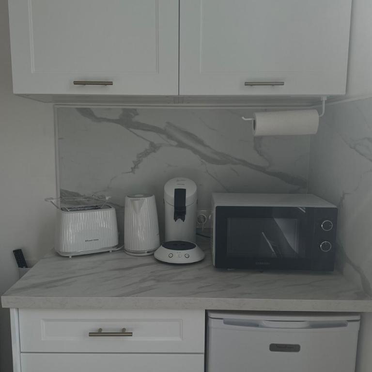 Les Jasmins - Centre Ville de Saumur - Appartement 1 Chambre - 17