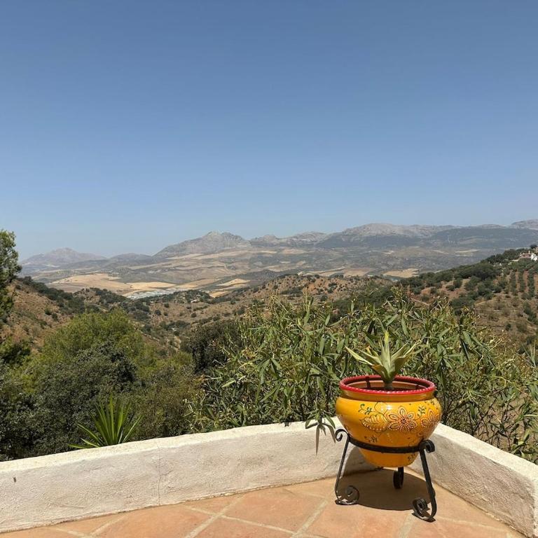 Andalusian holiday cottage La Cuadra - Casa con 1 dormitorio - 8