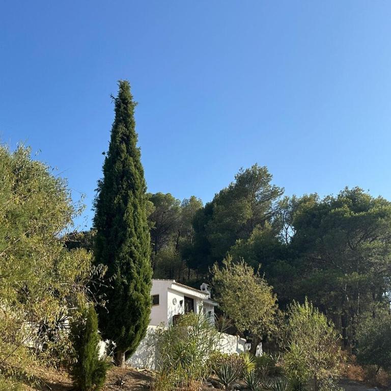 Andalusian holiday cottage La Cuadra - Casa con 1 dormitorio - 19