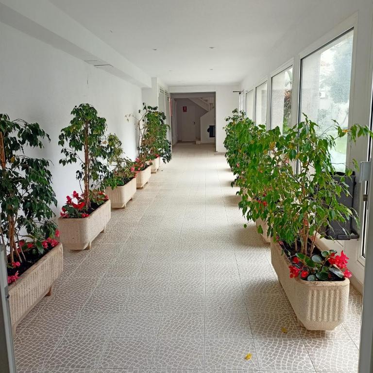 Residencial Casablanca 302A, Playa Romana Alcossebre - Appartamento con 2 Camere da Letto - 10
