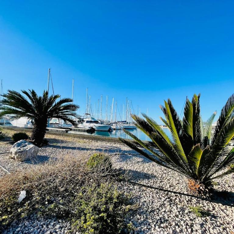 Le Golfe - Ile des Loisirs - Clim - Piscine - Luna Park - Apartment mit 1 Schlafzimmer - 43