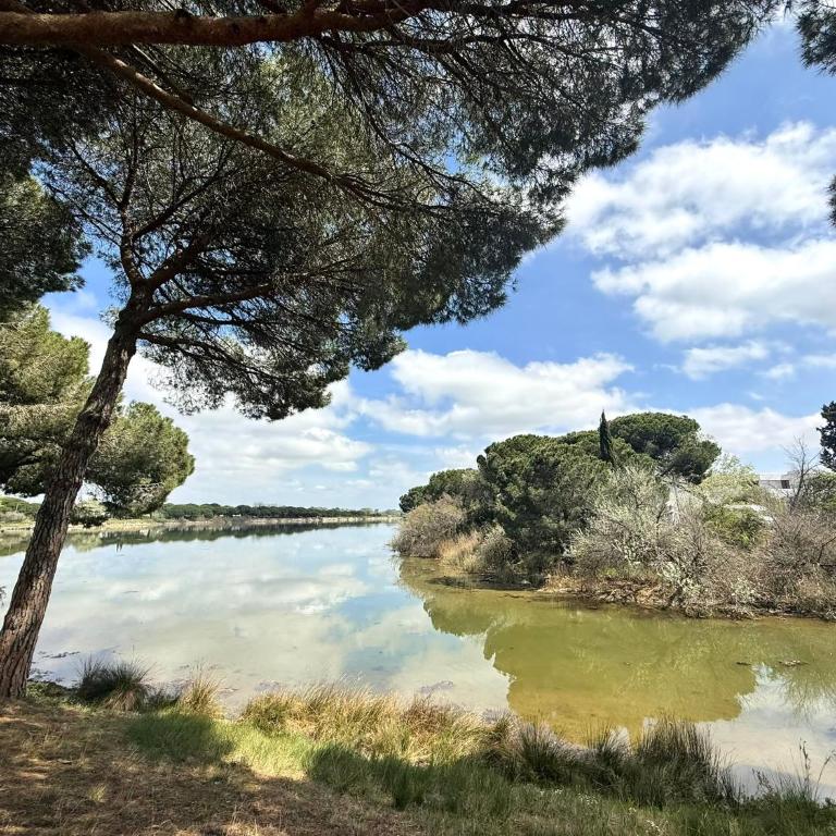 Ponant La Grande Motte Cosy Studio 4 pers Parking,Clim,piscine, Golf, Plage - Appartamento con 1 Camera da Letto - 9
