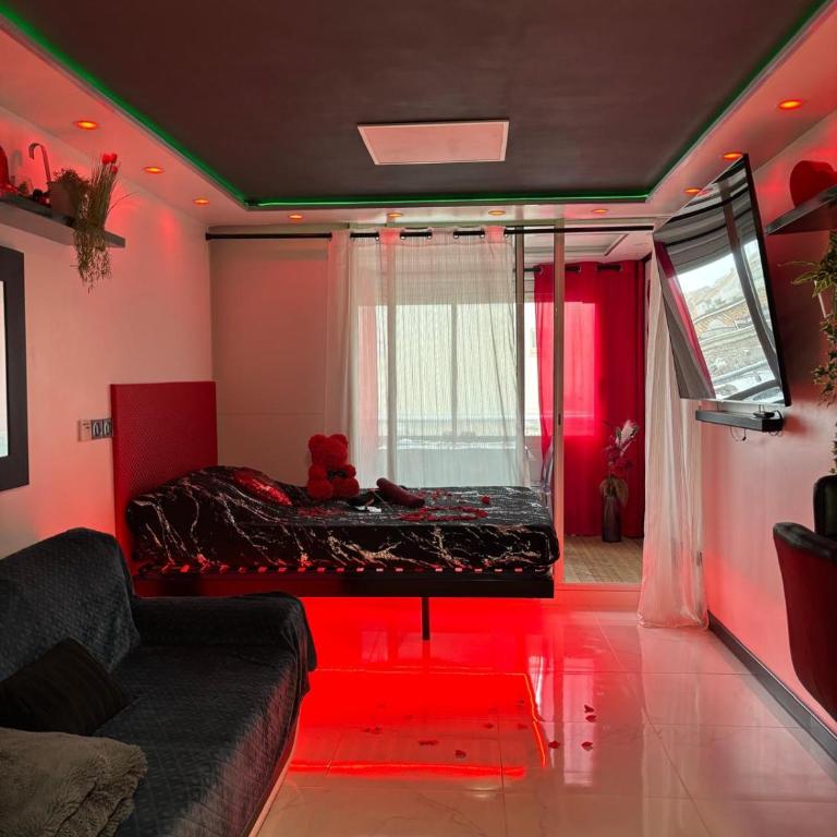 C12 Deluxe - Apartamento Deluxe - 14