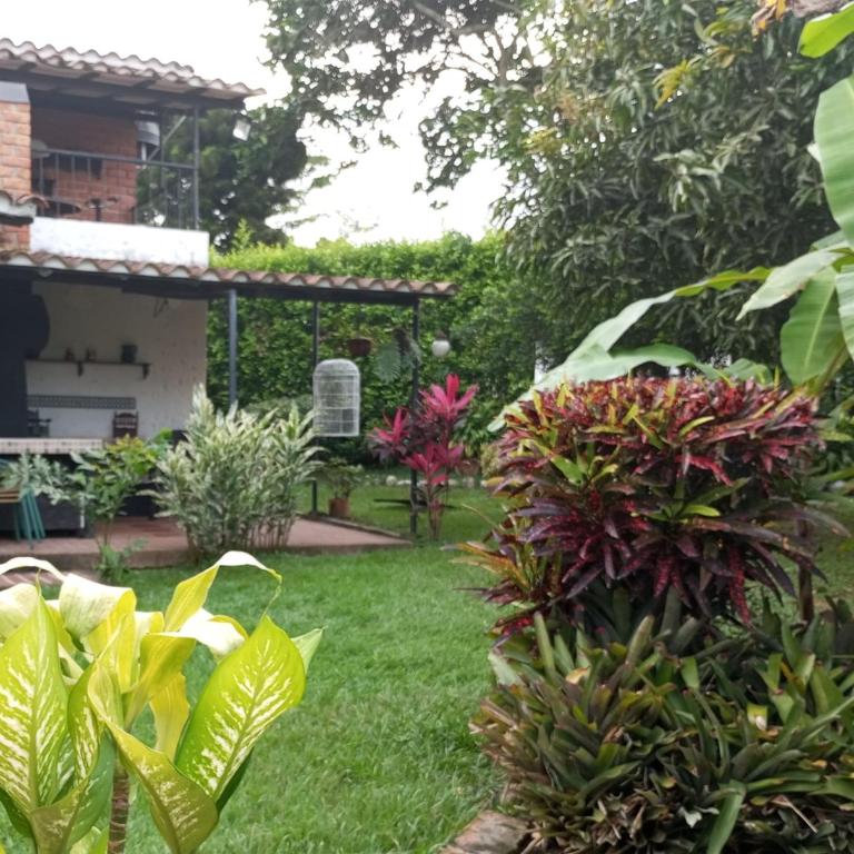 Alojamiento campestre Ibagué Juanita Bonita - Apartamento de 1 dormitorio - 1
