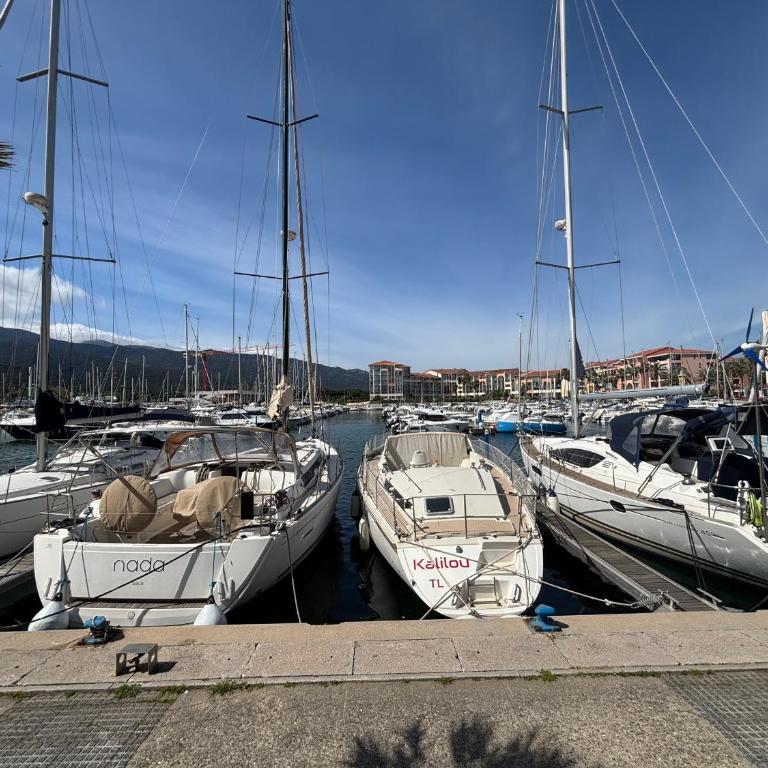 Appart T2 cabine à Argelès avec 4 couchages - FR-1-309-504 - Appartamento - 10