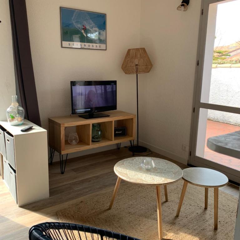 patio seignosse plage 6 couchages - One-Bedroom House - 4